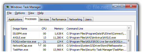 Software Conflicts And Compatibility Issues